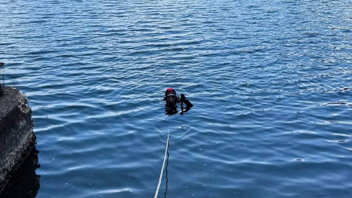 Водолази на березі річки