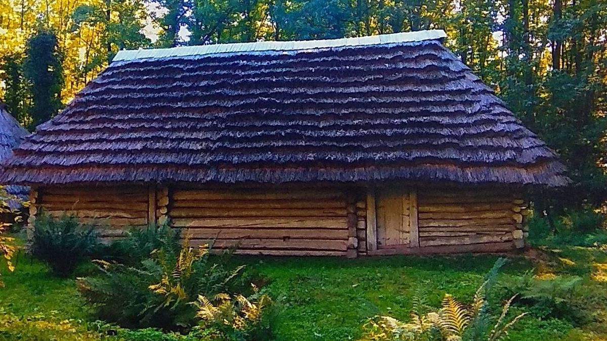 Старовинна хата у Галичі