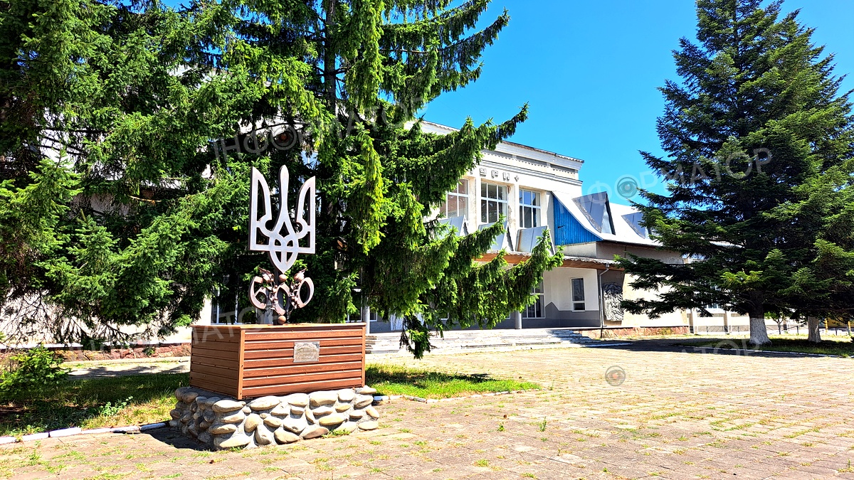 Торговиця будинок культури