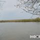 Річка Дністер у Галичі