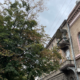 Франківськ напередодні осені