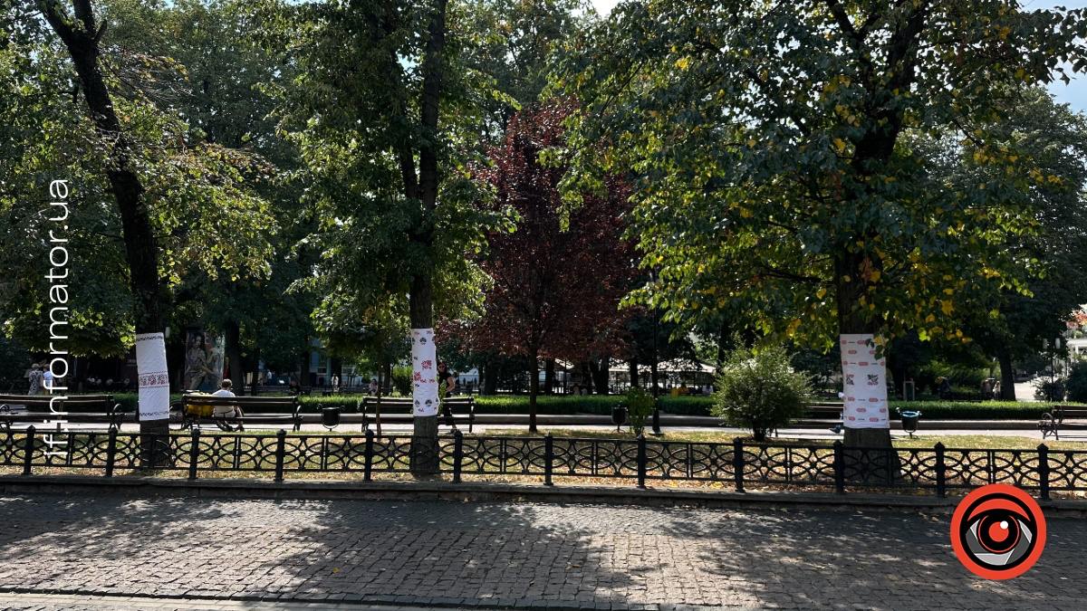 Акція "Вишиваний Франик"