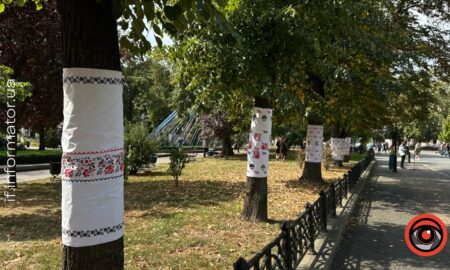 Дерева у вишиванках: у Франківську відкрили мистецьку інсталяцію до Дня Незалежності