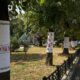 Дерева у вишиванках: у Франківську відкрили мистецьку інсталяцію до Дня Незалежності