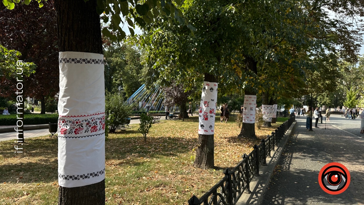 Дерева у вишиванках: у Франківську відкрили мистецьку інсталяцію до Дня Незалежності