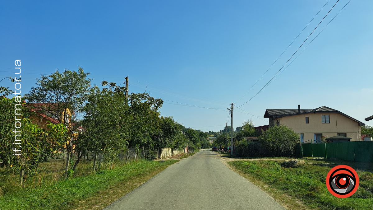 чорнолізці