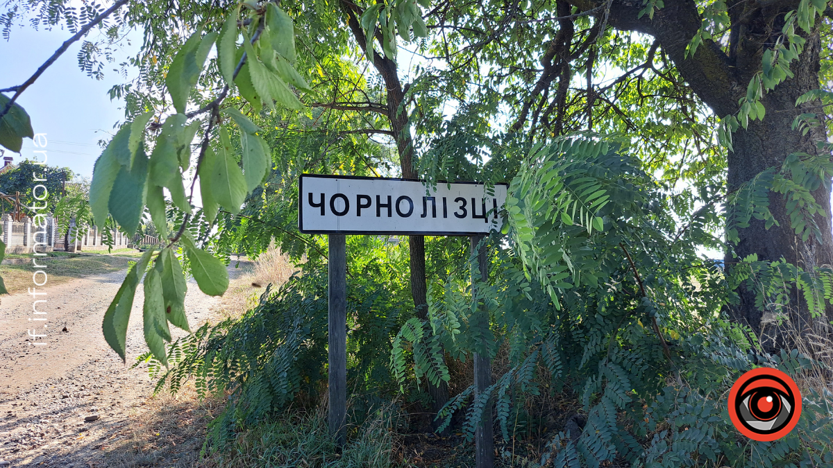 чорнолізці