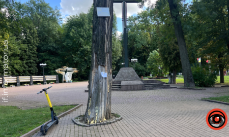 В Івано-Франківську при вході до Меморіального скверу у двох деревах з’явилися шершні