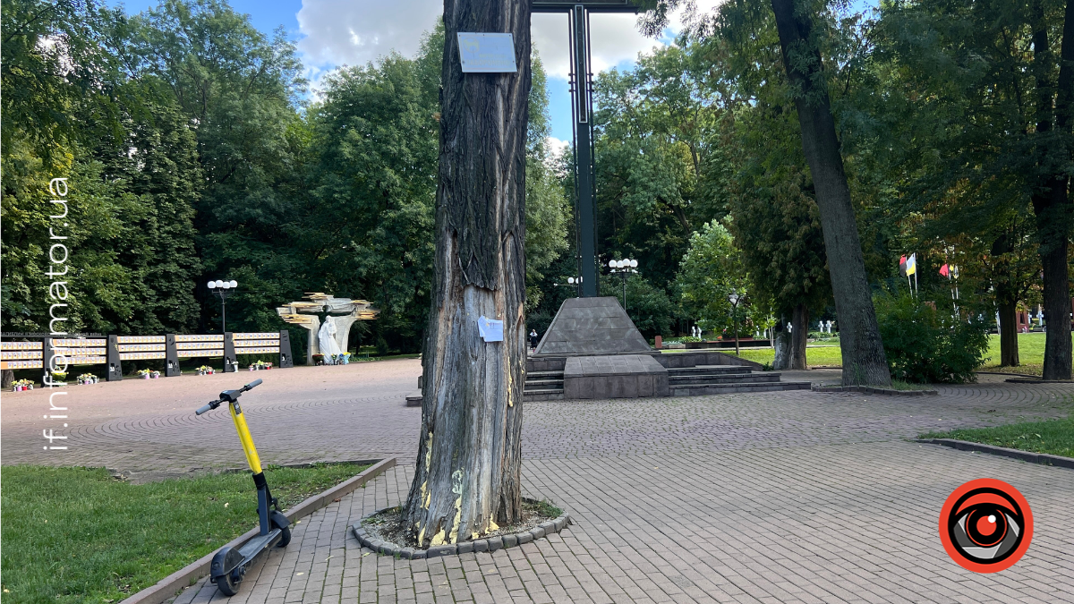 В Івано-Франківську при вході до Меморіального скверу у двох деревах з’явилися шершні