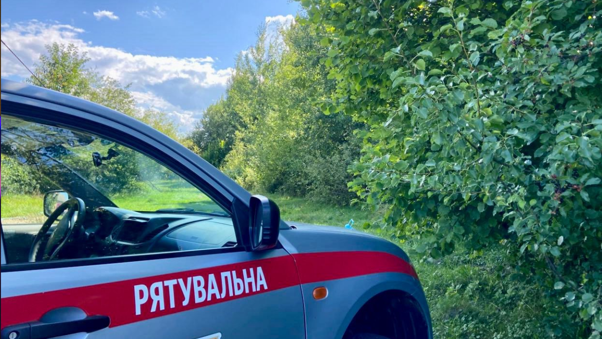 дснс