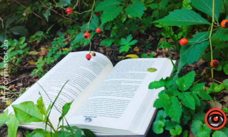 книга