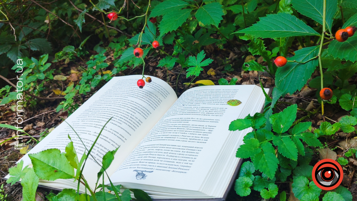 книга