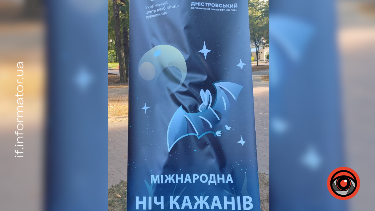Міжнародна ніч кажанів