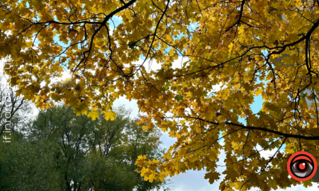 Які свята 29 жовтня