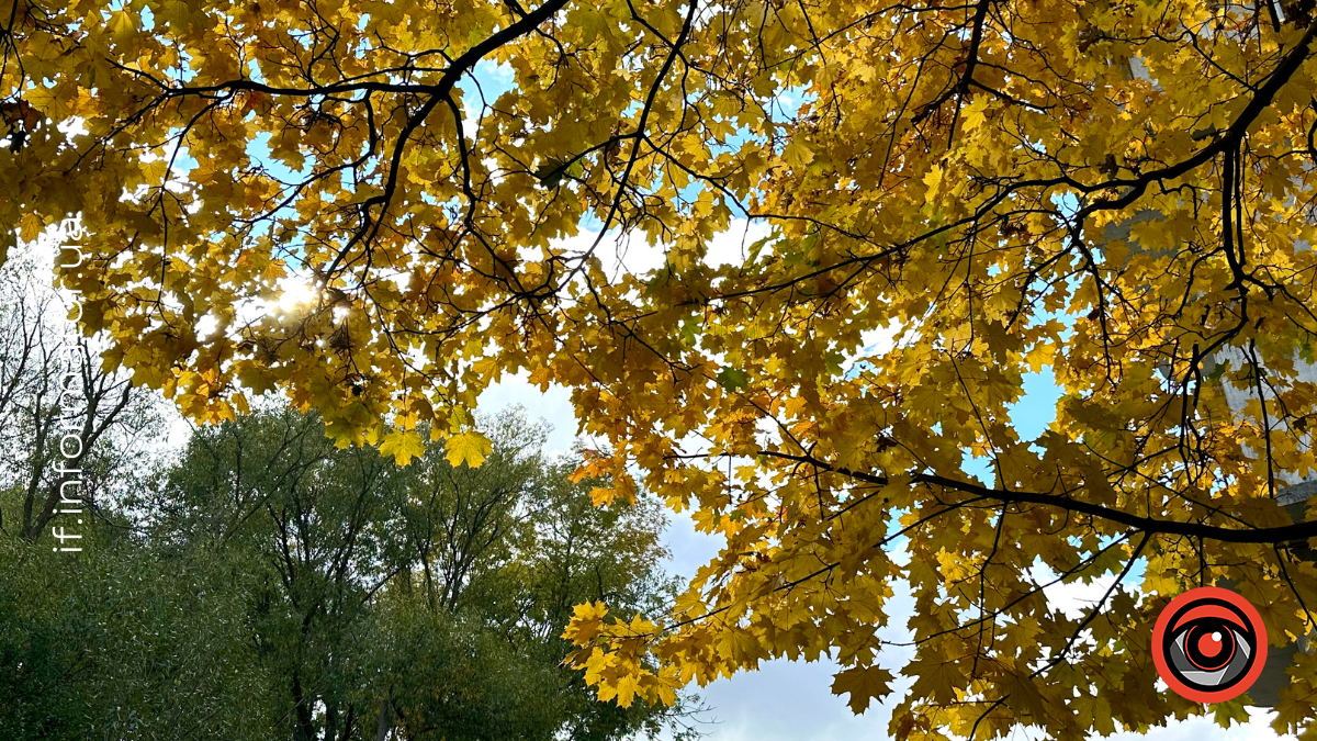 Які свята 29 жовтня