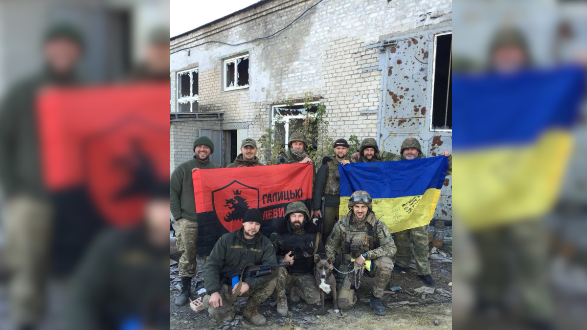 галицькі леви
