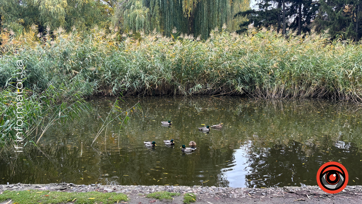 Парк Перемоги