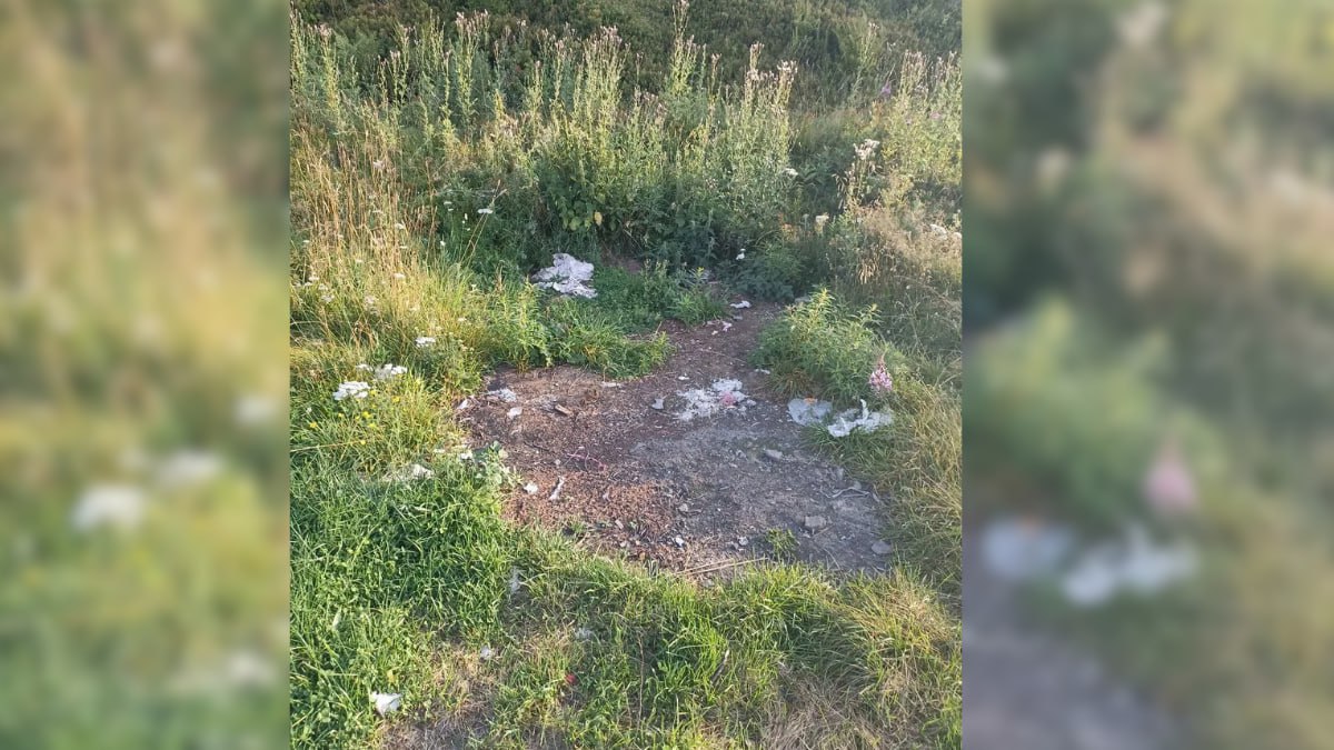 Сміття одразу біля озера Несамовите