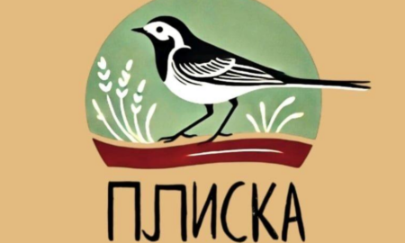 плиска