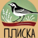 плиска