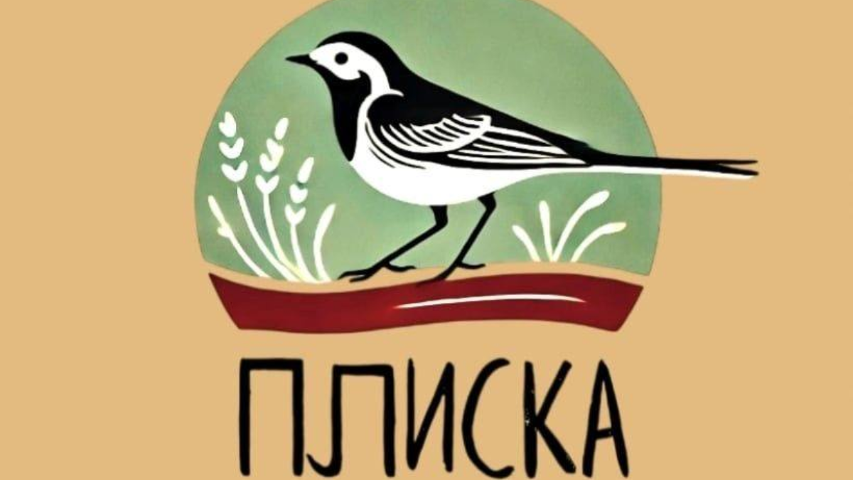 плиска