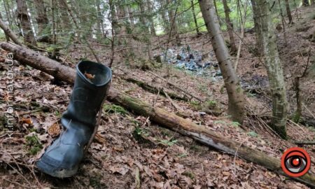 На Франківщині Ворохтянські ліси продовжують засмічуватися пластиком (ВІДЕО)
