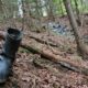 На Франківщині Ворохтянські ліси продовжують засмічуватися пластиком (ВІДЕО)