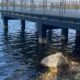 На міському озері у Франківську знизився рівень води (ФОТО)
