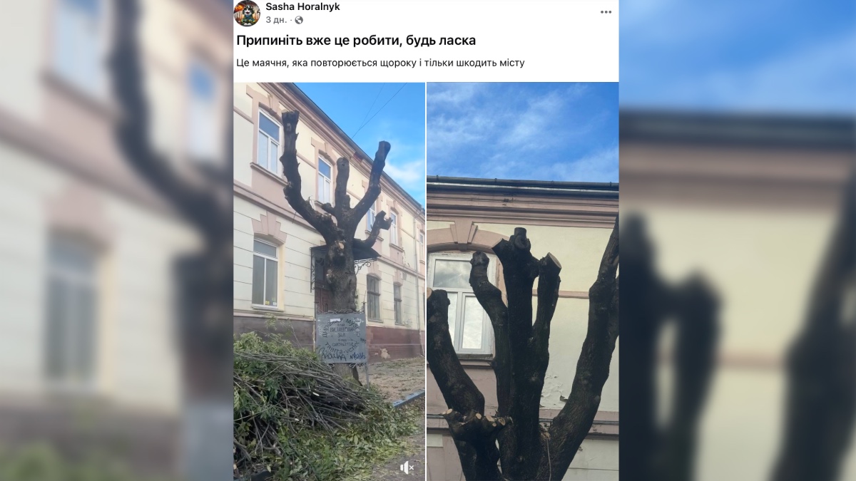 Допис на Facebook-сторінці