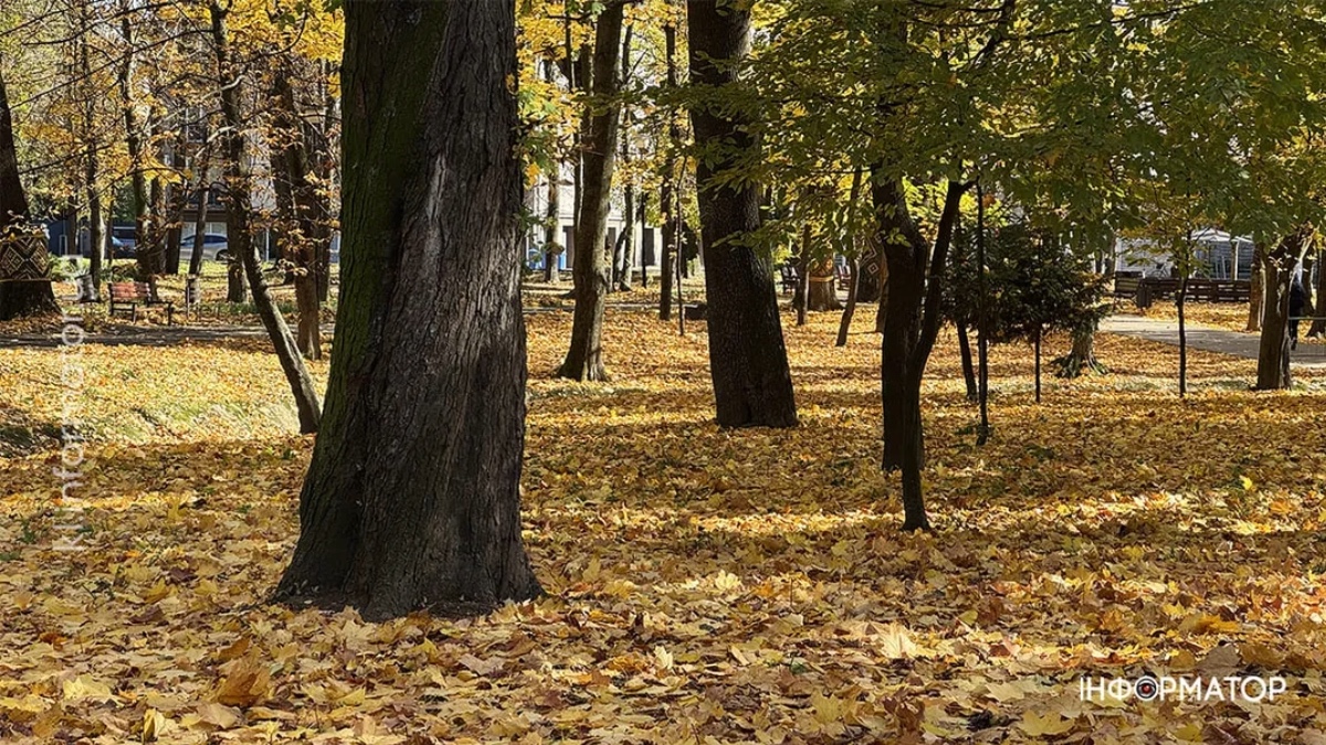 Коломия восени