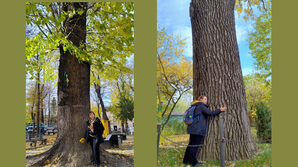 Екомаршрут ІФ