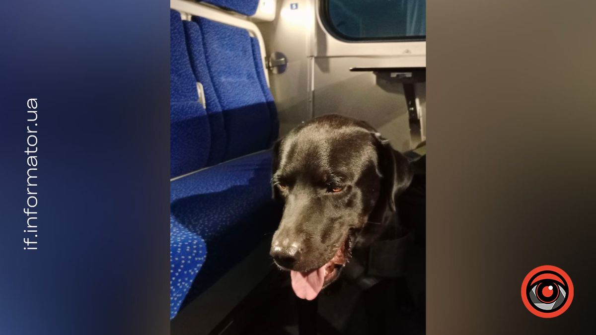 Історія евакуації Малиша