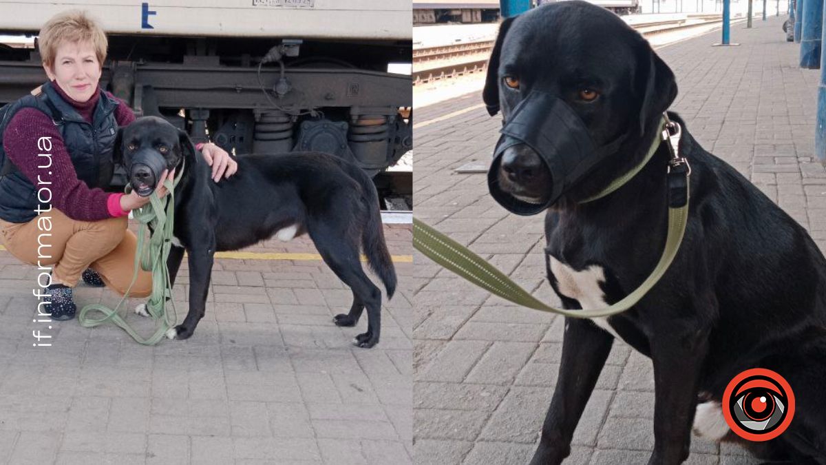 Історія евакуації Малиша