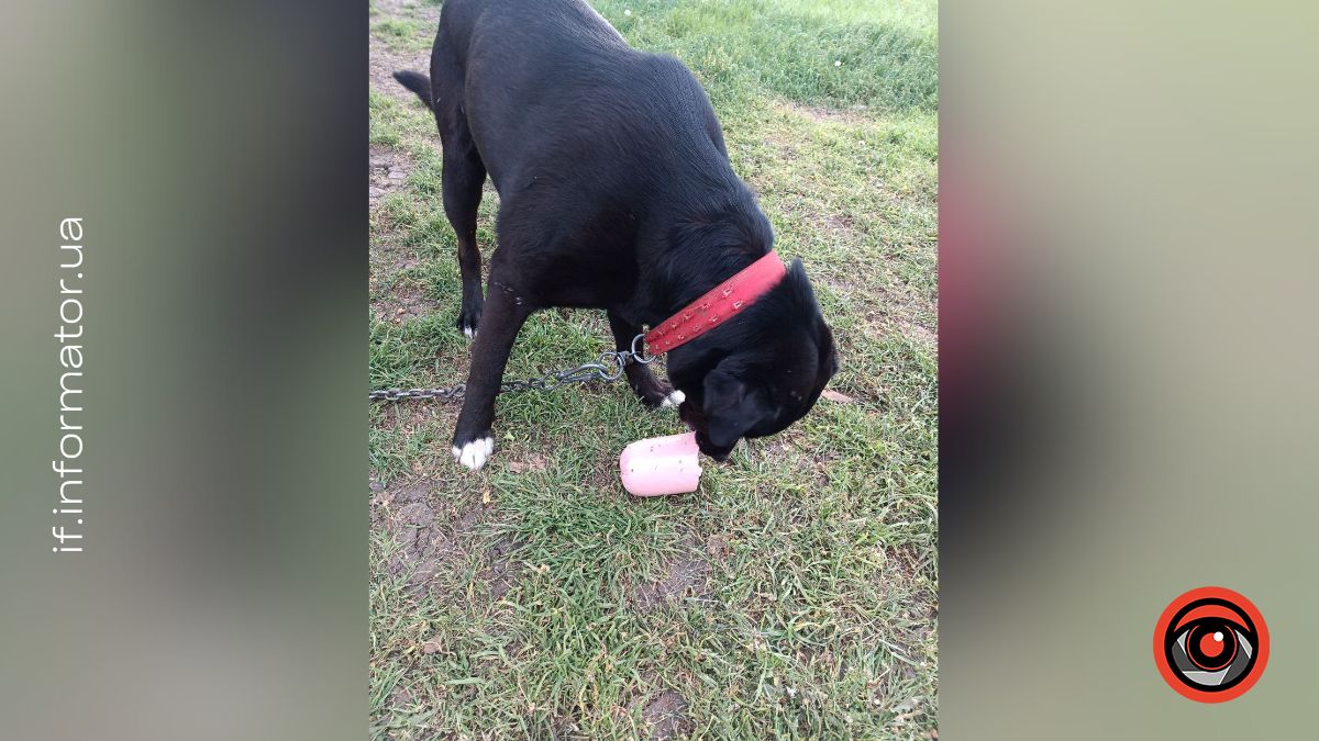 Історія евакуації Малиша