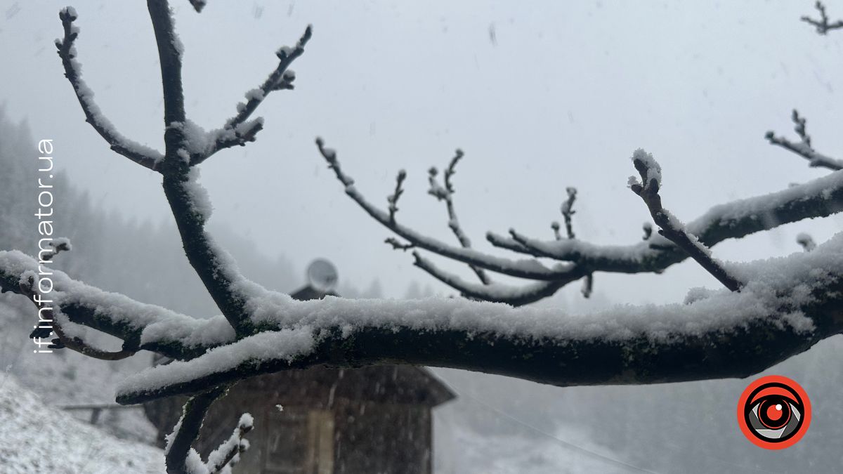 Перший сніг на Гуцульщині