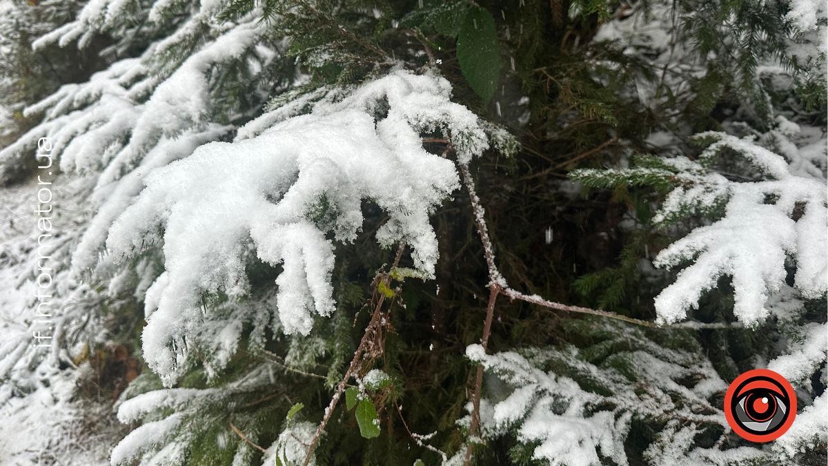 Перший сніг на Гуцульщині