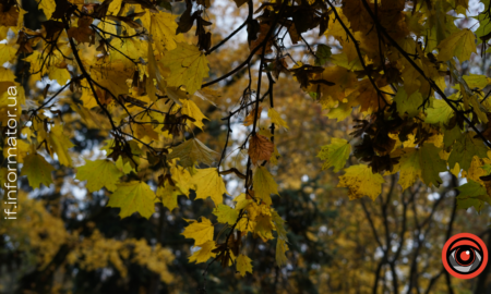 Свята 5 листопада