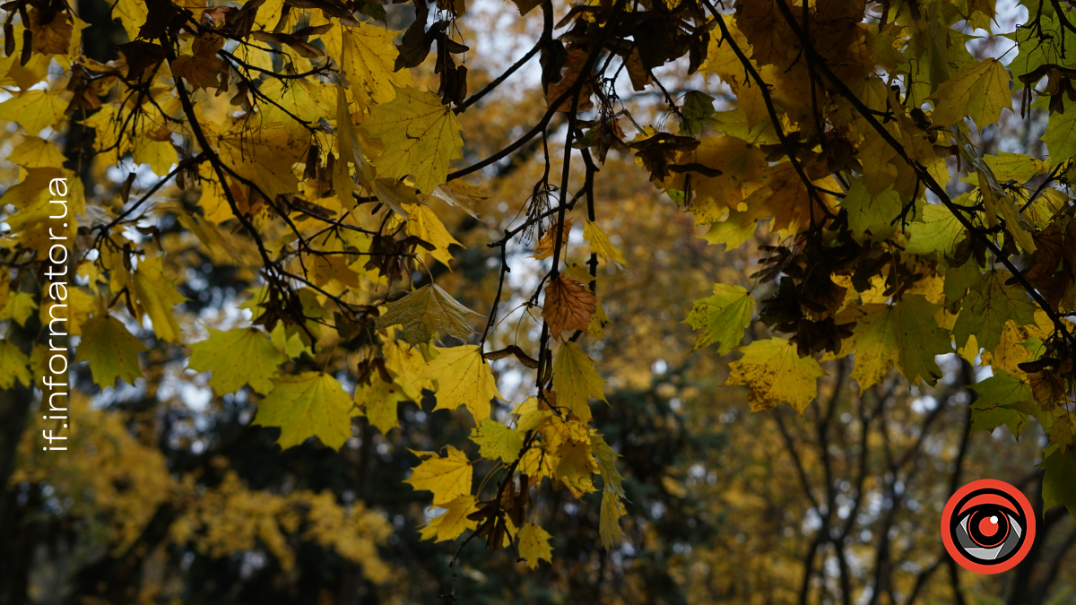 Свята 5 листопада