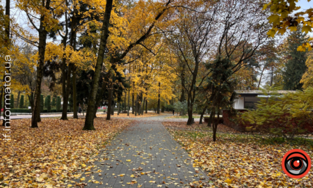 3 листопада свята