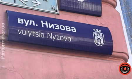 Історія вулиці Низова