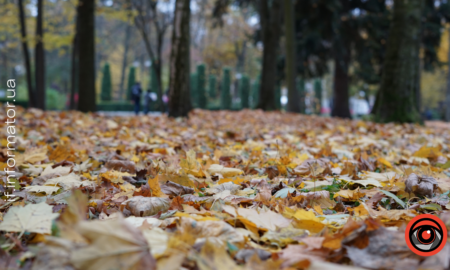 Свята 12 листопада