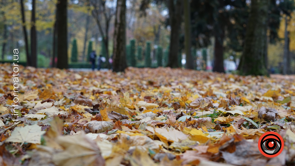 Свята 12 листопада