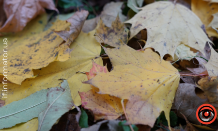 Свята 14 листопада