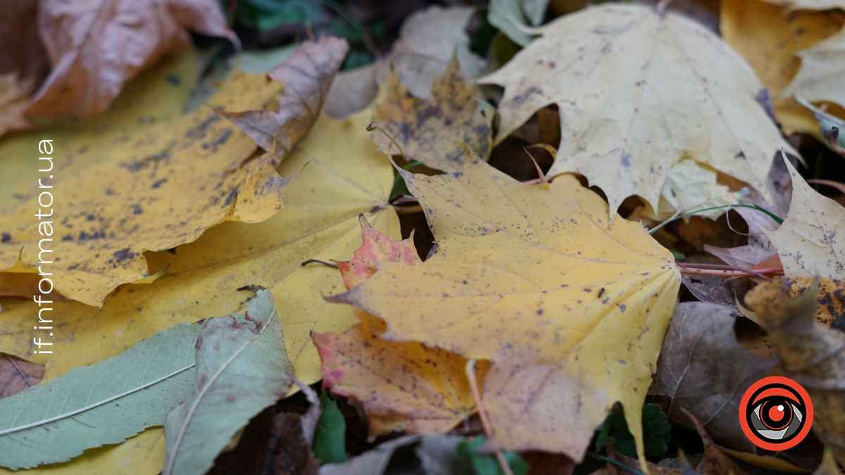 Свята 14 листопада