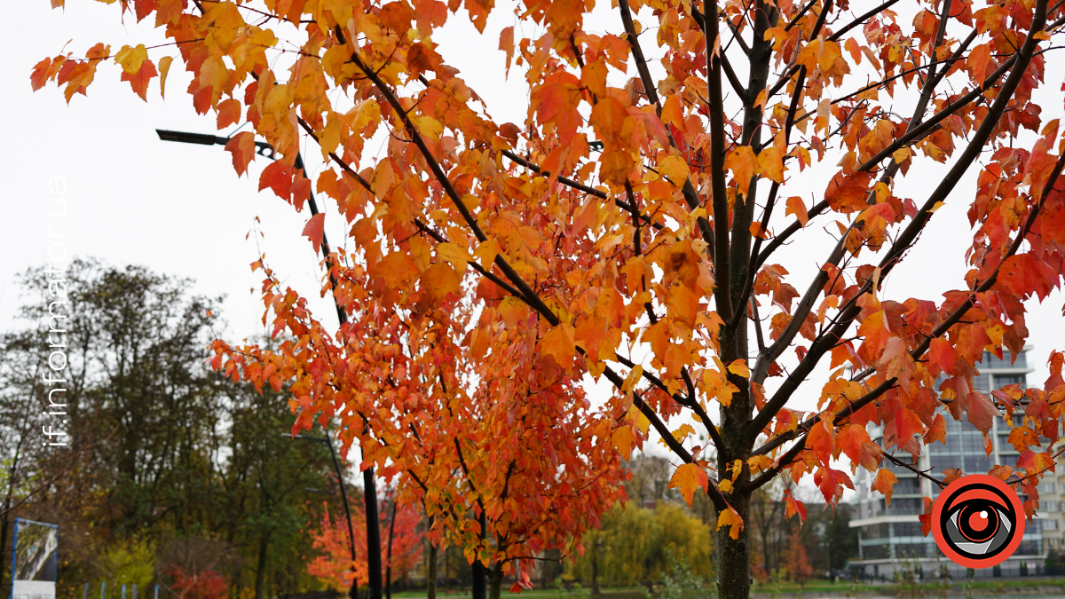 Свята 18 листопада