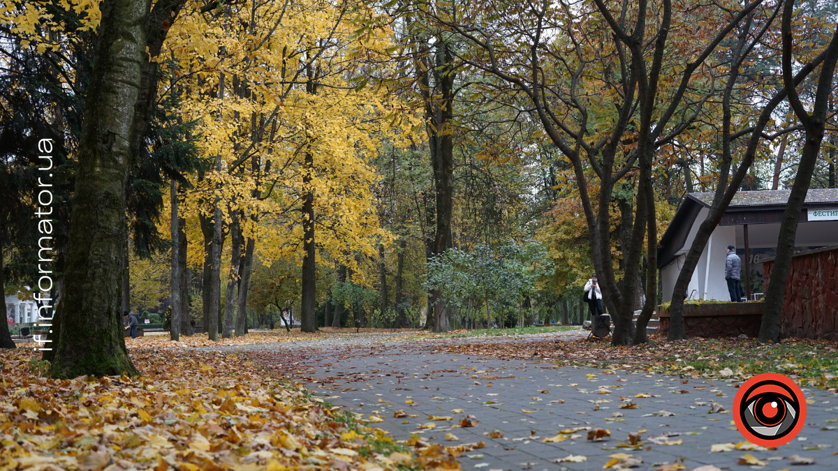 Погода 19 листопада