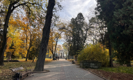 Свята 20 листопада