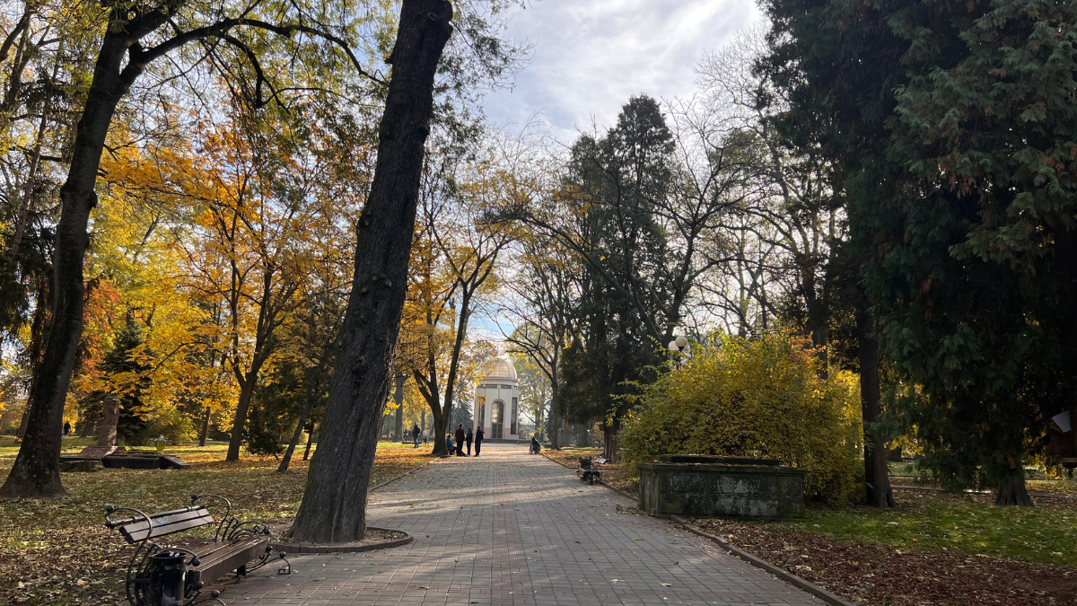 Свята 20 листопада