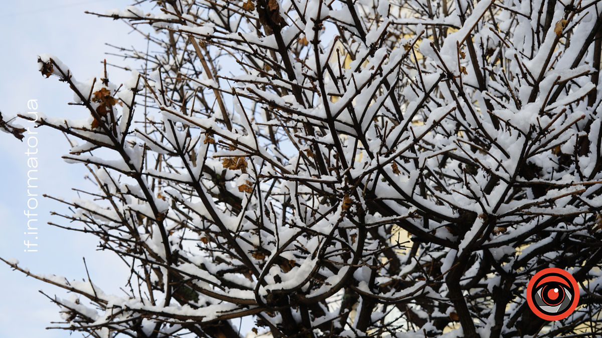 Погода у Франківську 25 листопада