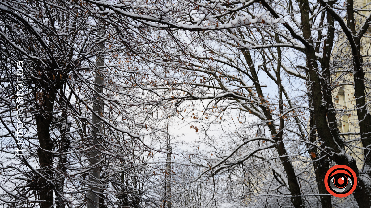Погода у грудні
